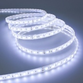 картинка Светодиодная лента LED 5050 белая от интернет магазина Radiovip