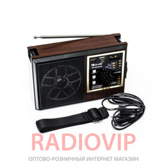 картинка Радиоприемник Golon RX-9922UAR от интернет магазина Radiovip