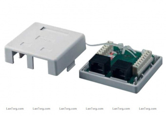 картинка Розетка Logicpower (LP-214) 2-порт. RJ-45, кат.5e от интернет магазина Radiovip