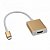 картинка Конвертер Type-C (папа) на HDMI(мама) от интернет магазина Radiovip