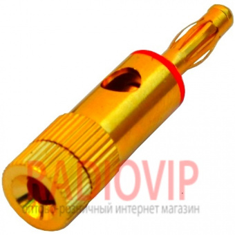 картинка Штекер акустический Banan, под кабель, металлич. корпус,красный gold от интернет магазина Radiovip