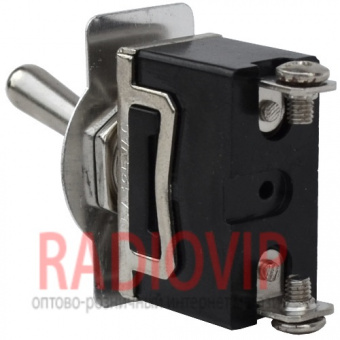 картинка Тумблер KN3(C)-101A (ON-OFF), 2pin, 10A 250VAC от интернет магазина Radiovip