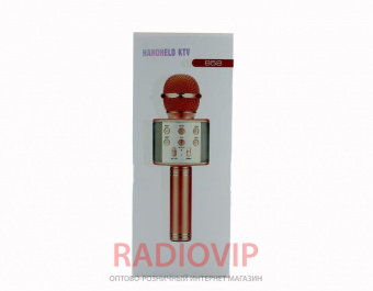 картинка Радиомикрофон Караоке WS-858 от интернет магазина Radiovip