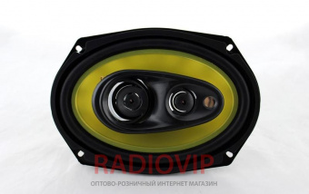 Автоколонки TS 6973С