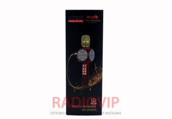 картинка Радиомикрофон Караоке Wster WS 1816 от интернет магазина Radiovip
