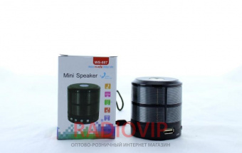 картинка Мобильная колонка SPS WS 887 +Bluetooth от интернет магазина Radiovip