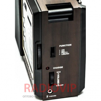 картинка Радиоприемник Golon RX-9922UAR от интернет магазина Radiovip