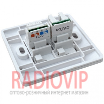 картинка Тлф.розетка монтажная гн.8P8C+ гн.6Р4С от интернет магазина Radiovip