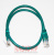 картинка Патч-корд Lp UTP ,RJ45,кат.5Е,0,5м(зелёный) интернет магазин Radiovip картинка Патч-корд Lp UTP ,RJ45,кат.5Е,0,5м(зелёный) от интернет магазина Radiovip