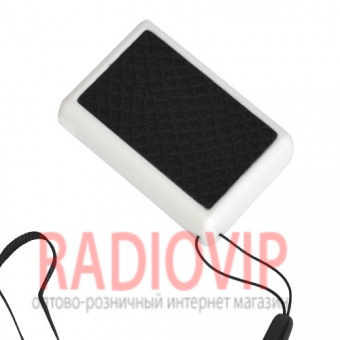 картинка Лупа выдвижная с Led подсв.+ UV, NO.9881А 45Х диам-25мм от интернет магазина Radiovip