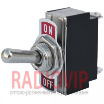 картинка Тумблер big 2pin (ON-OFF) от интернет магазина Radiovip