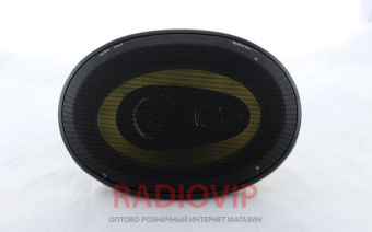 Автоколонки TS 6973С