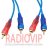 картинка Шнур соедин. 2RCA х 2RCA gold прозр.-синий 3+3мм 5м. от интернет магазина Radiovip